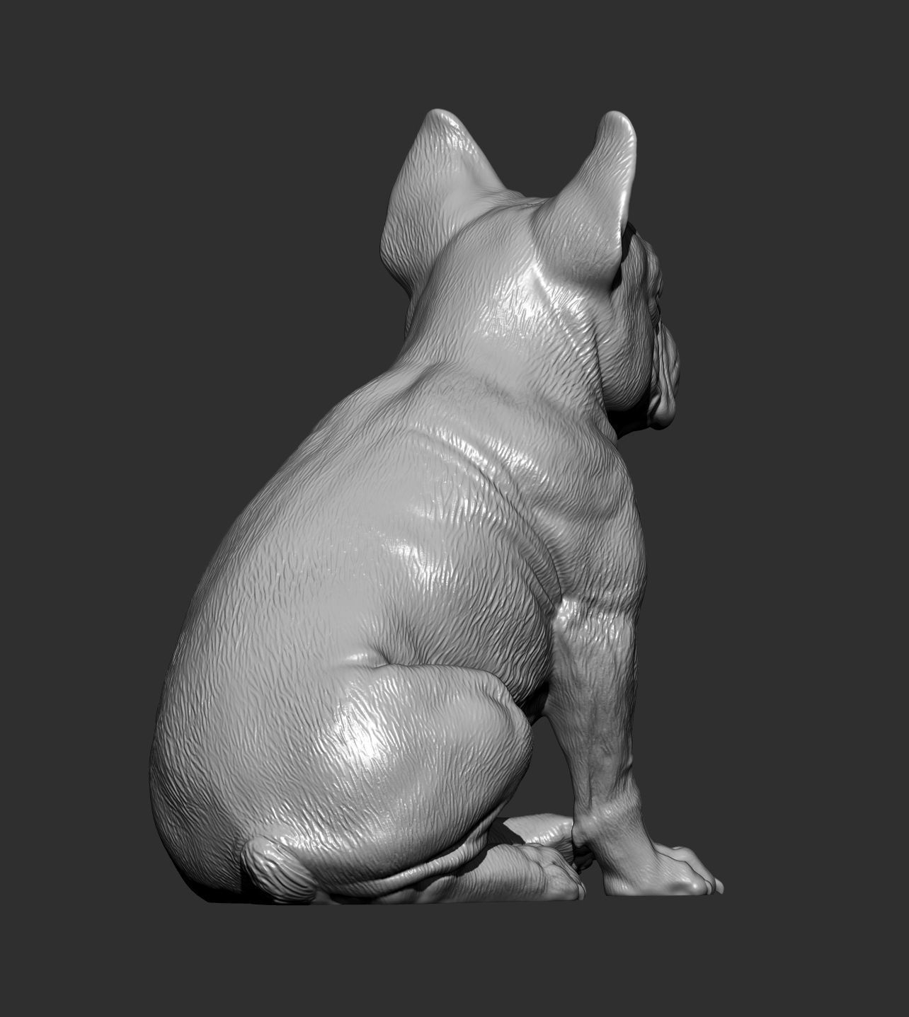 French Bulldog 3D print model_4