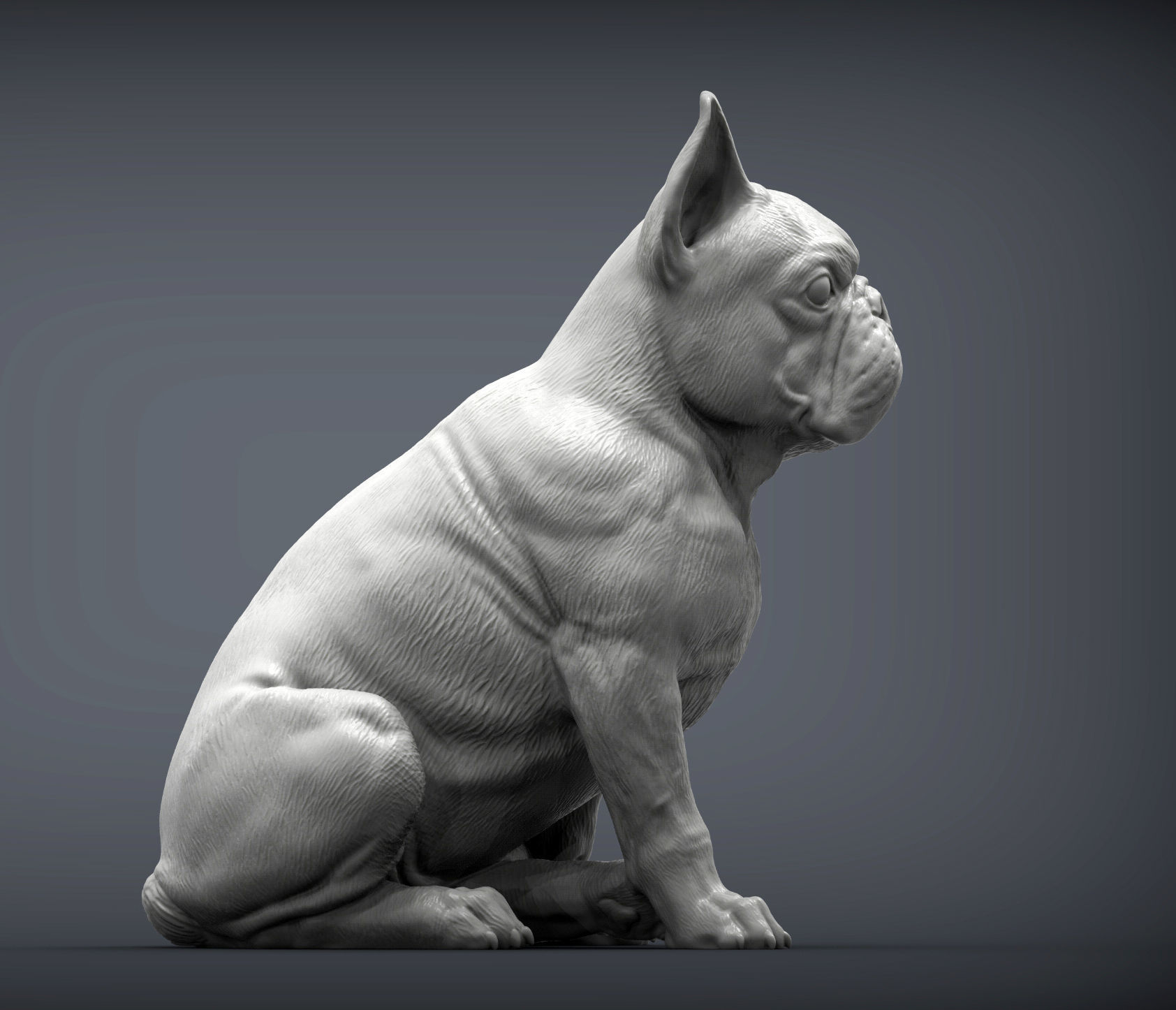 French Bulldog 3D print model_2