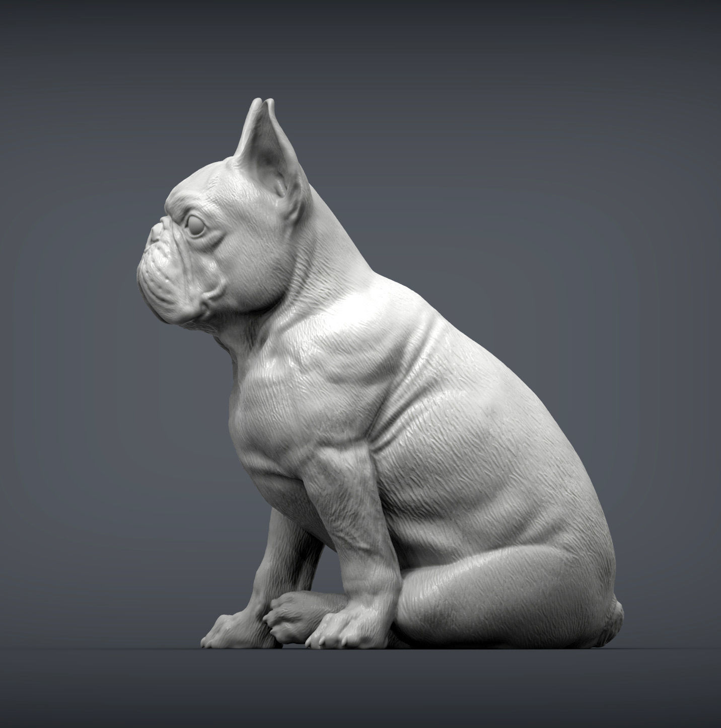 French Bulldog 3D print model_1