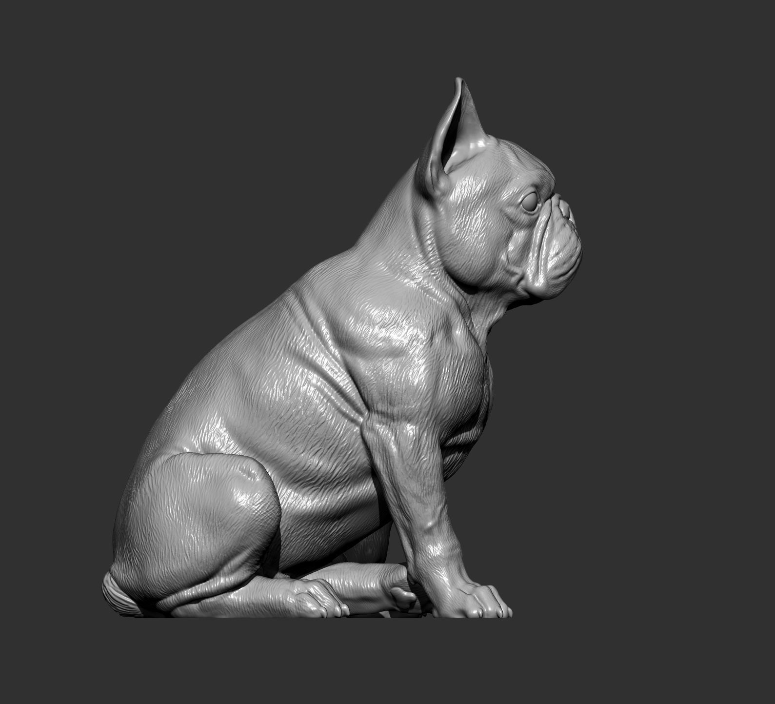 French Bulldog 3D print model_8
