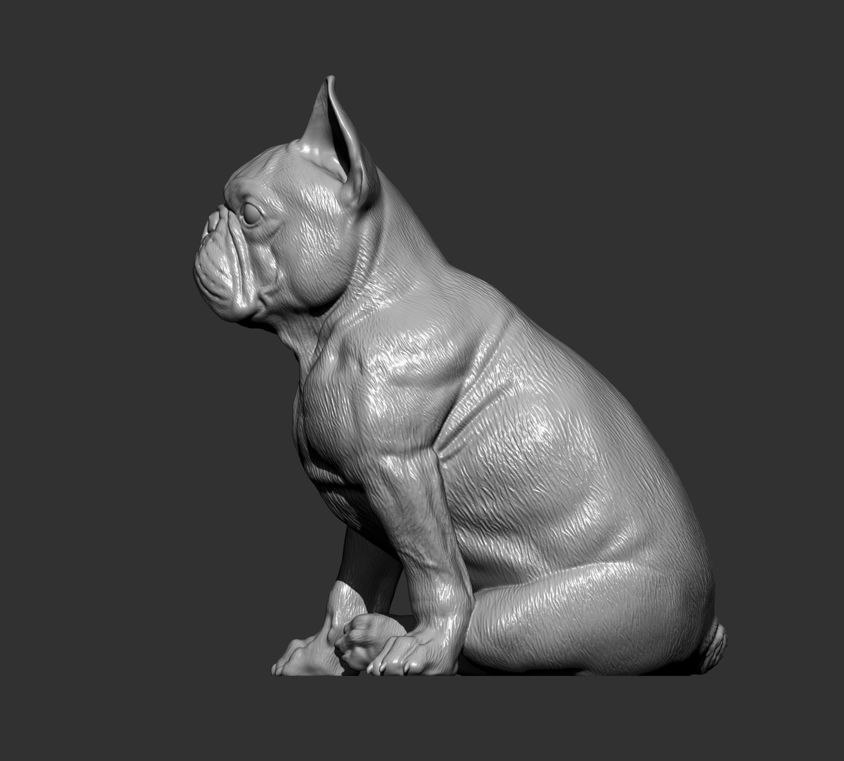 French Bulldog 3D print model_6