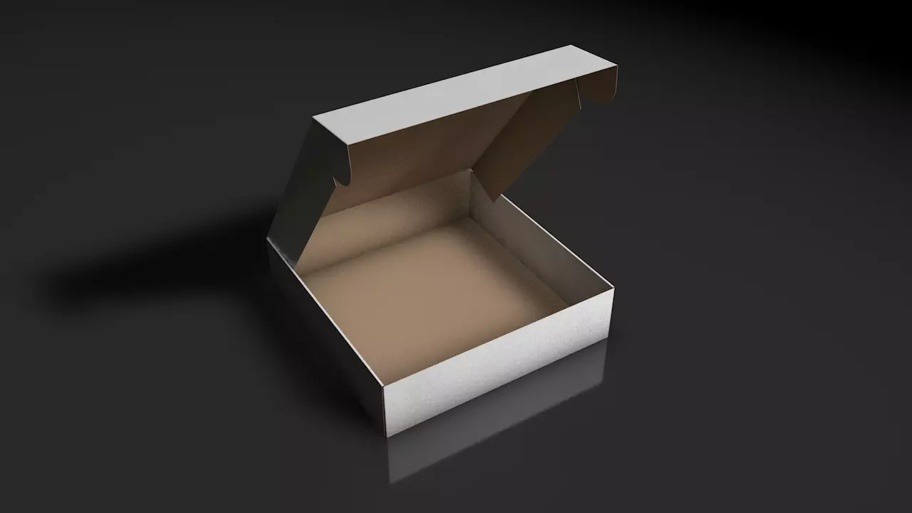 box pizza rigged Low-poly 3D model_0