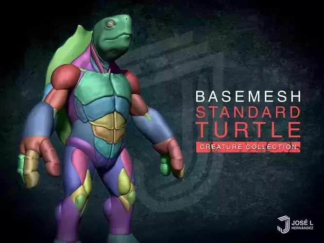 Stylized Basemesh Turtle Character