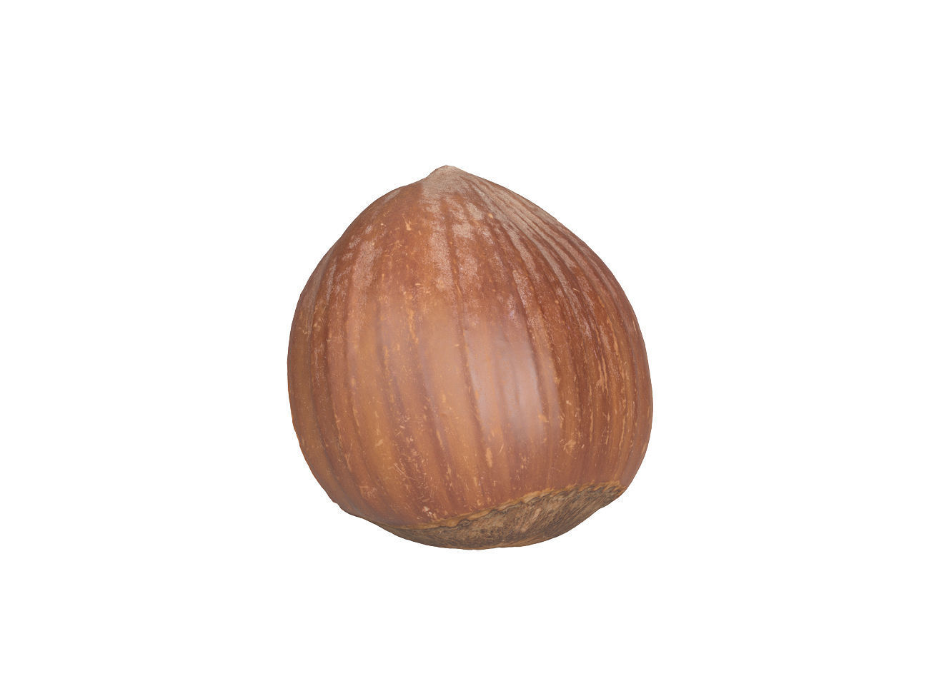 Photorealistic Hazelnut Shell 3D Scan 3D model_6