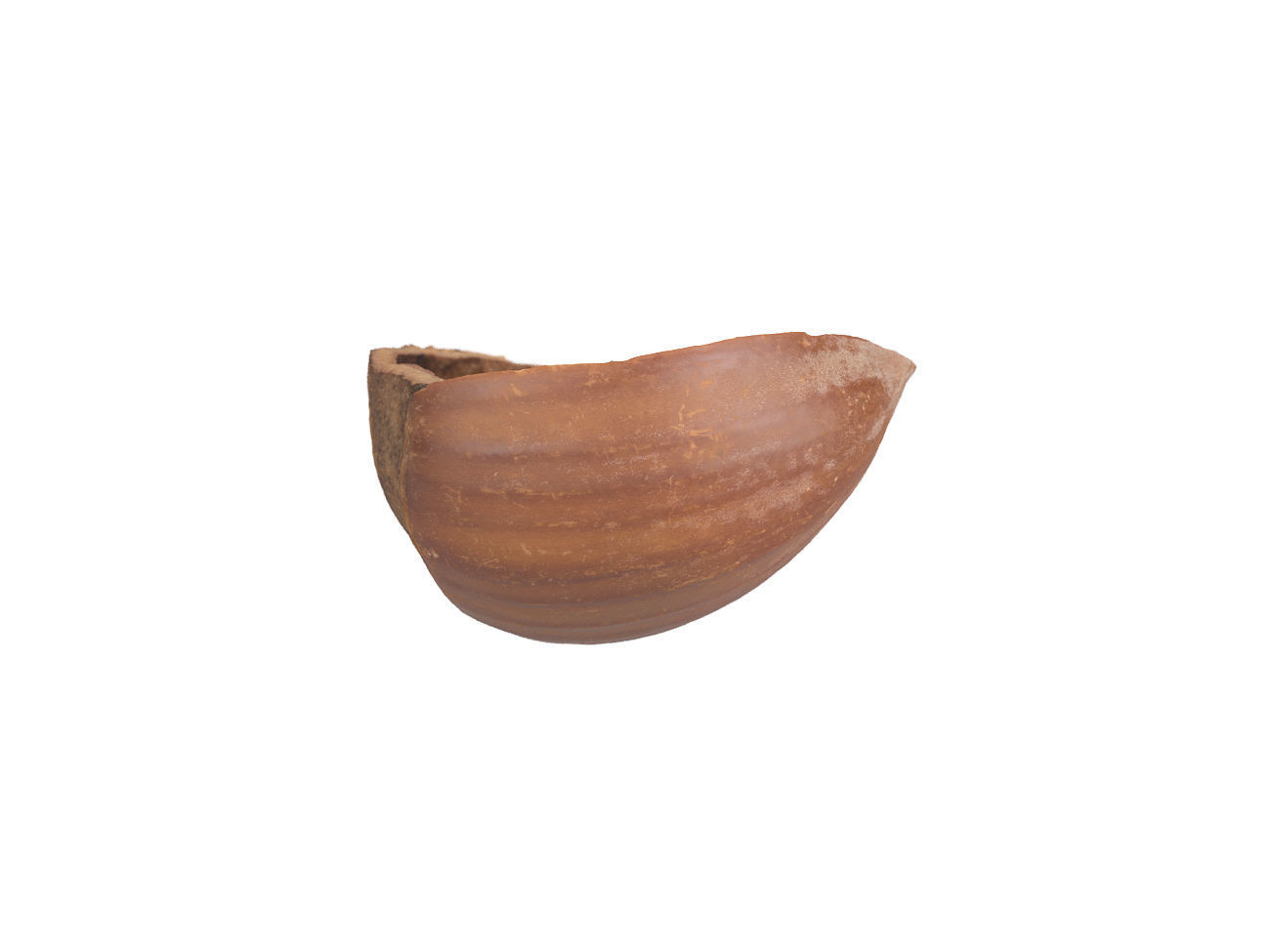 Photorealistic Hazelnut Shell 3D Scan 3D model_2