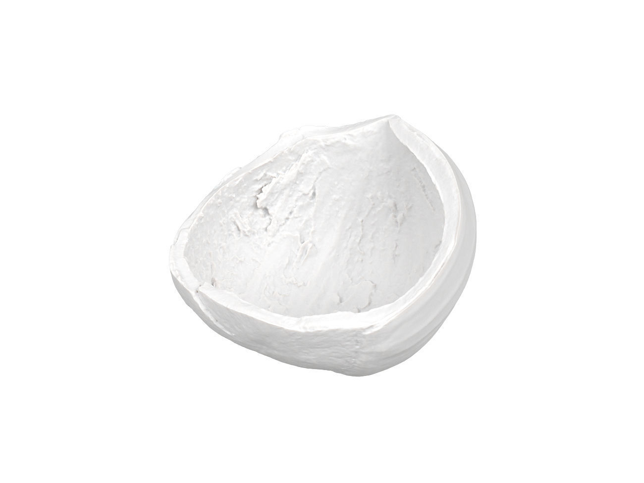 Photorealistic Hazelnut Shell 3D Scan 3D model_7