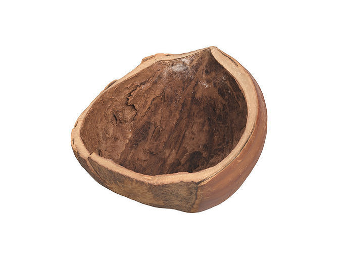 Photorealistic Hazelnut Shell 3D Scan 3D model