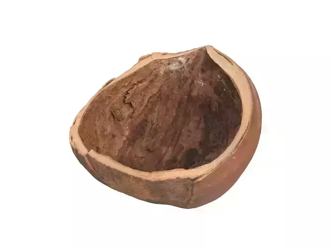 Photorealistic Hazelnut Shell 3D Scan 3D model