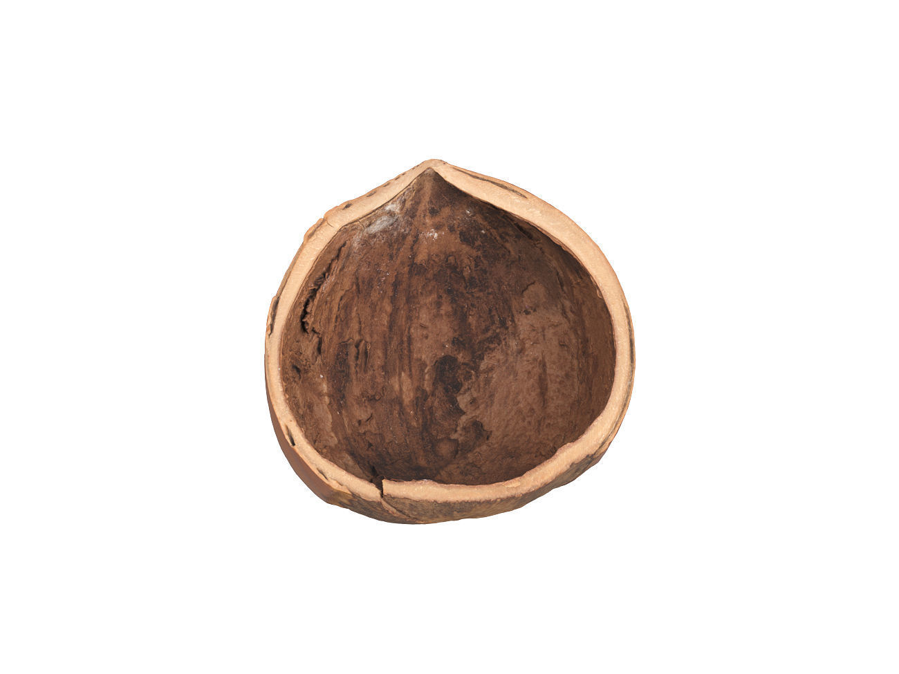 Photorealistic Hazelnut Shell 3D Scan 3D model_5