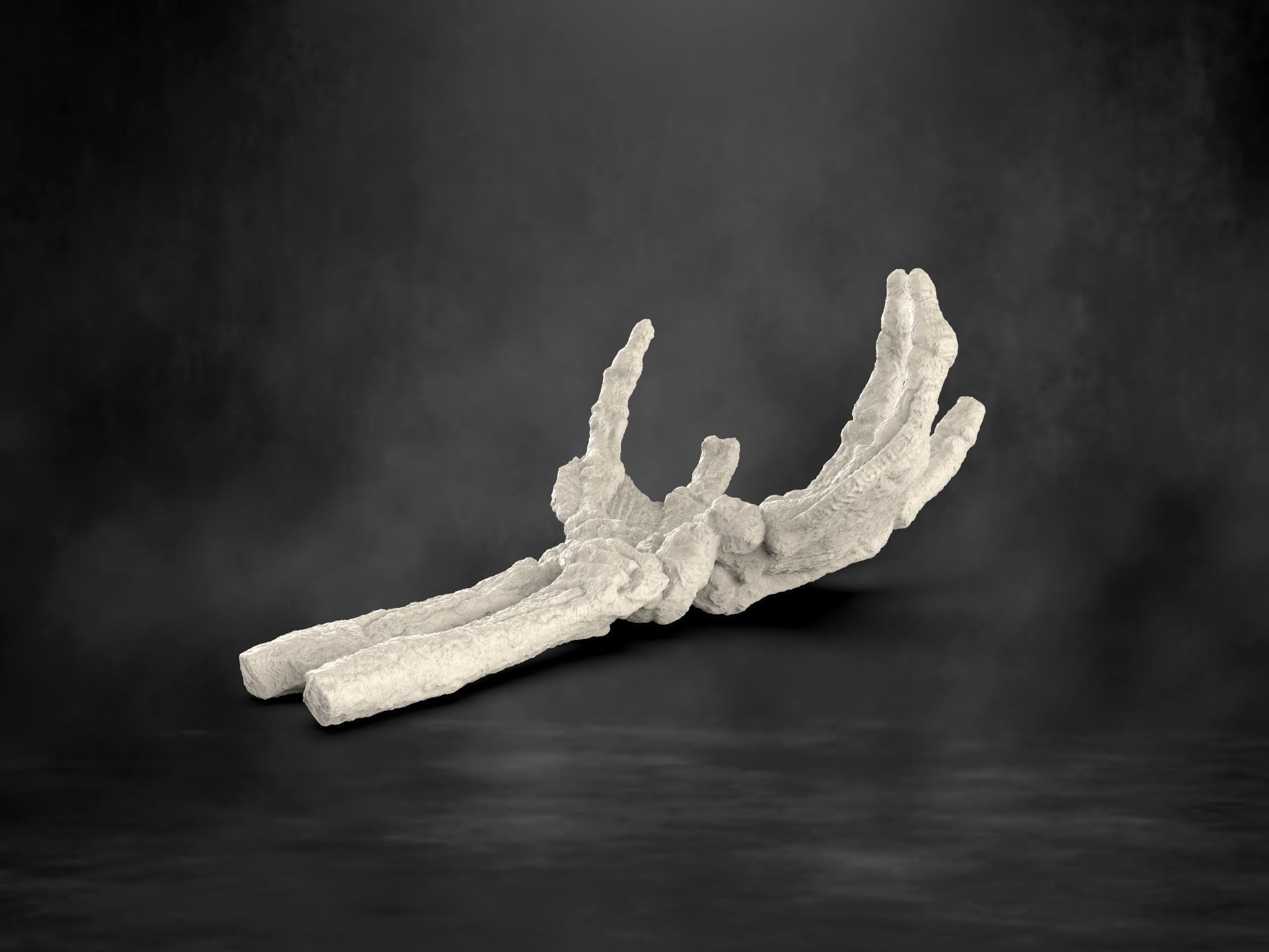 Creature From The Black Lagoon Fossil Hand 3D print model_7