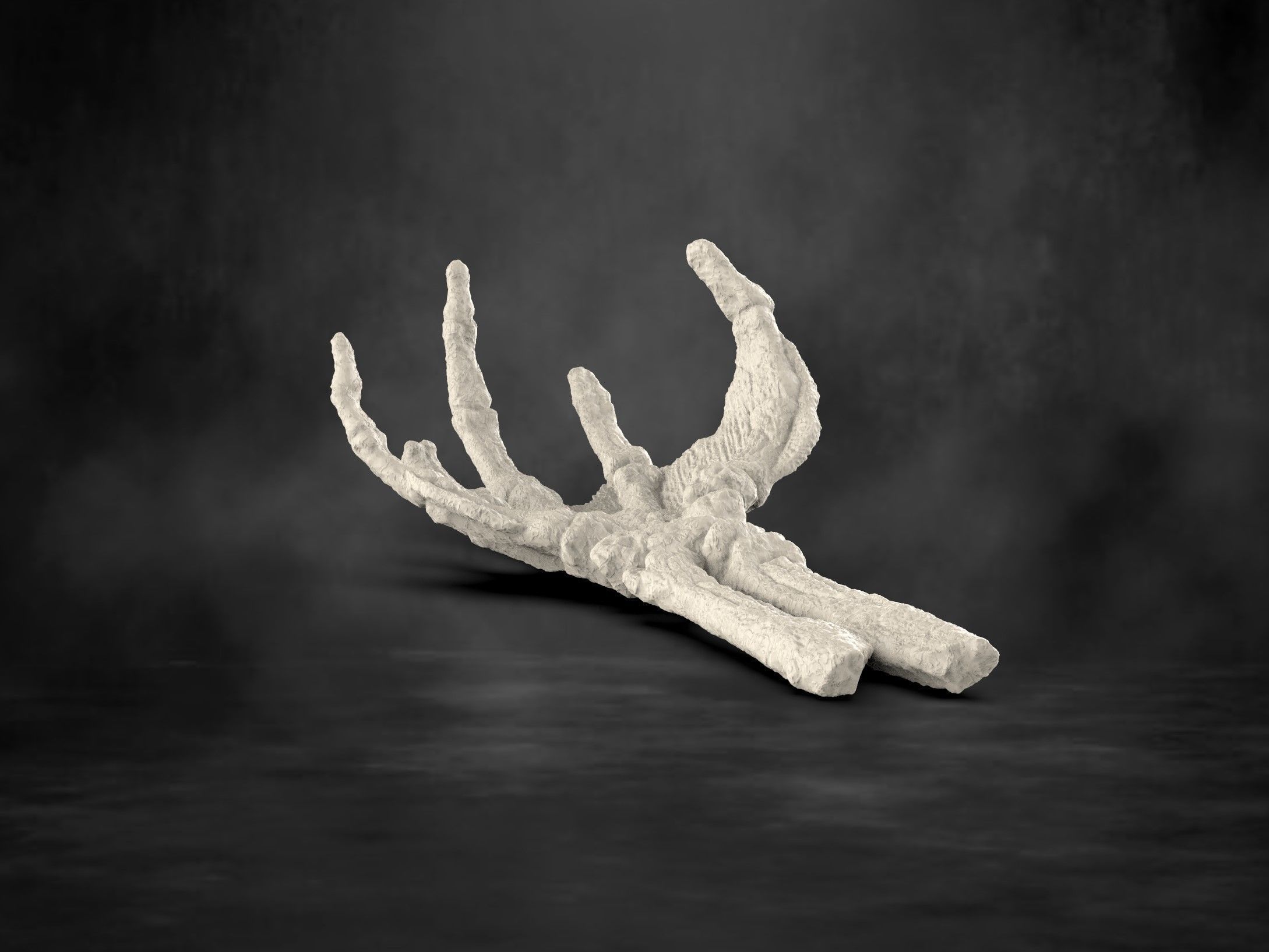 Creature From The Black Lagoon Fossil Hand 3D print model_6