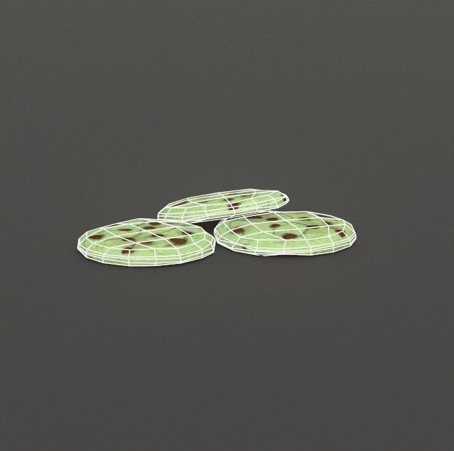 Mint Chocolate Chip Cookies G74 Low-poly 3D model_14