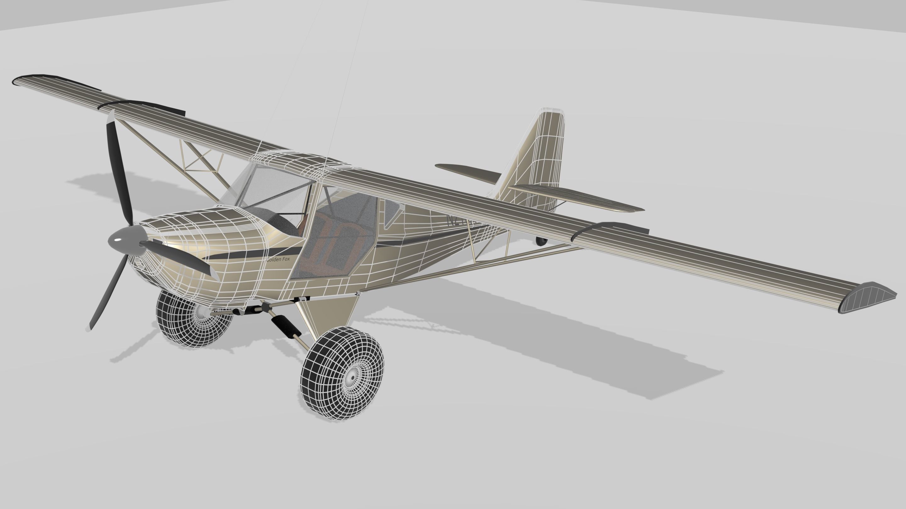 Kitfox - The Golden Fox 3D model_6