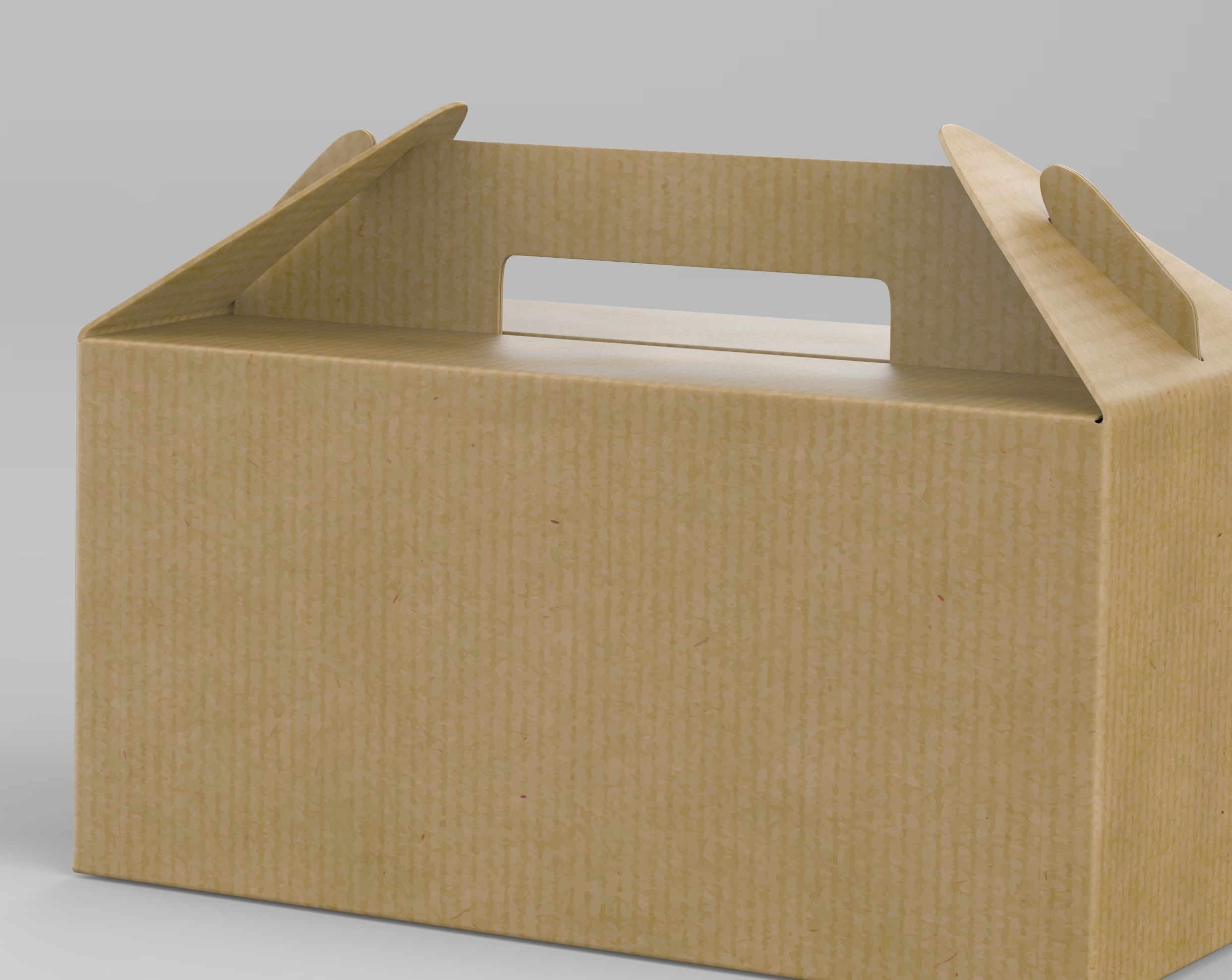 Take away box large 3D model_3