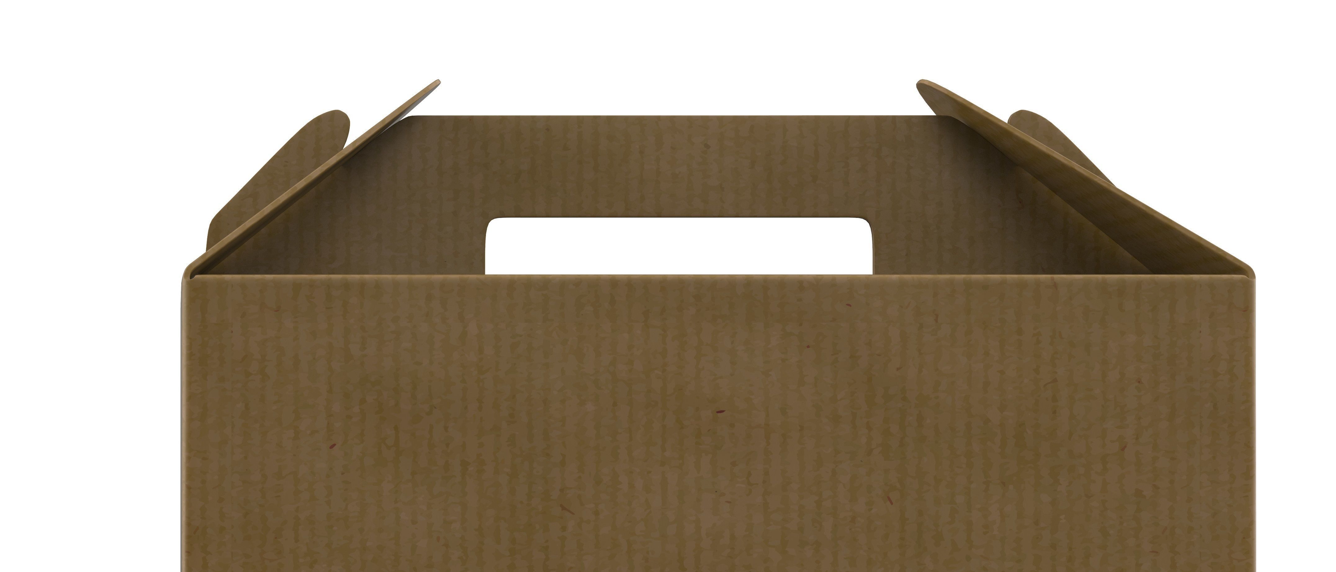 Take away box large 3D model_7
