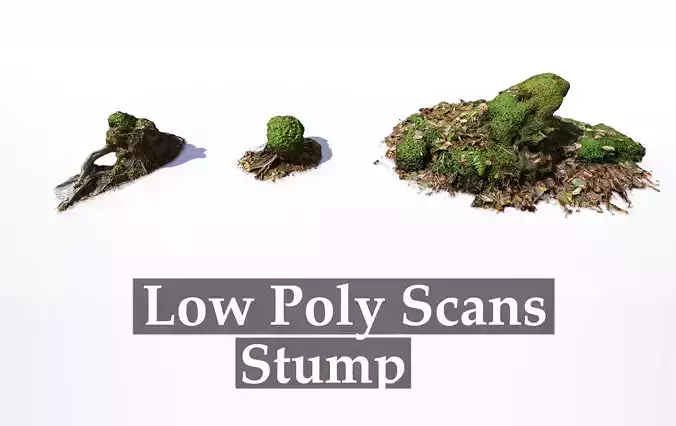 Mossy Tree Stumps - Processed Scans PBR 4K