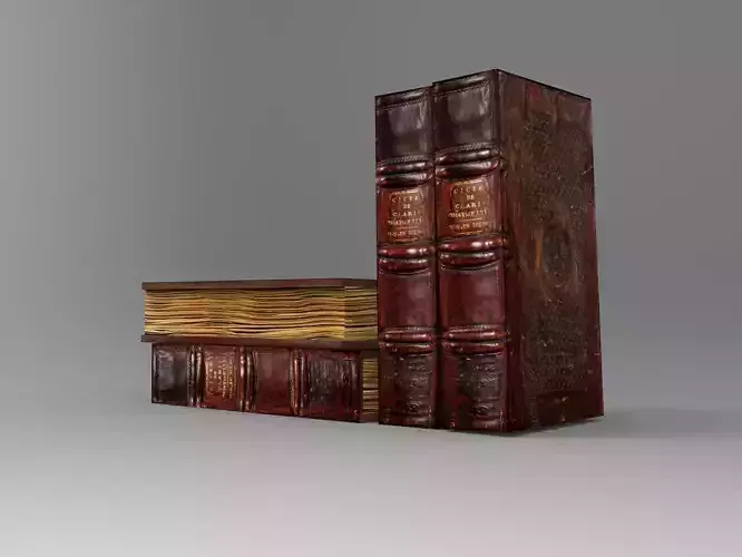 An Old Book 