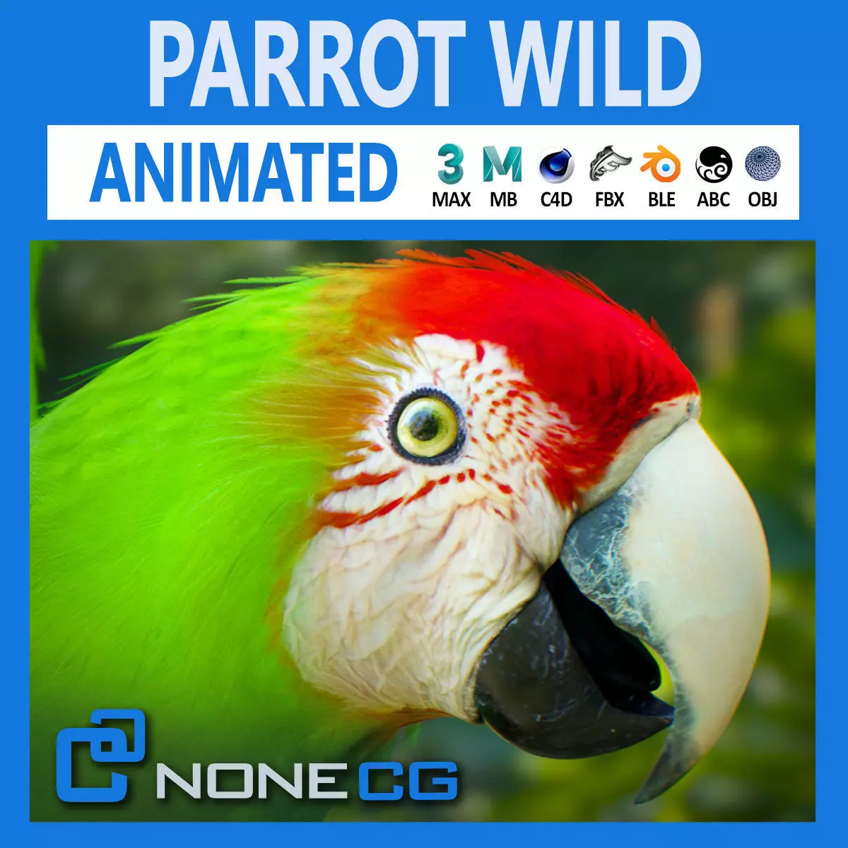 Animated Wild Parrot 3D model_0