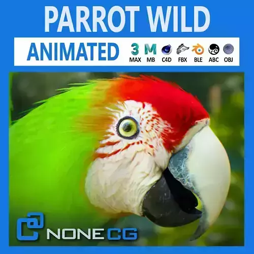 Animated Wild Parrot 3D model