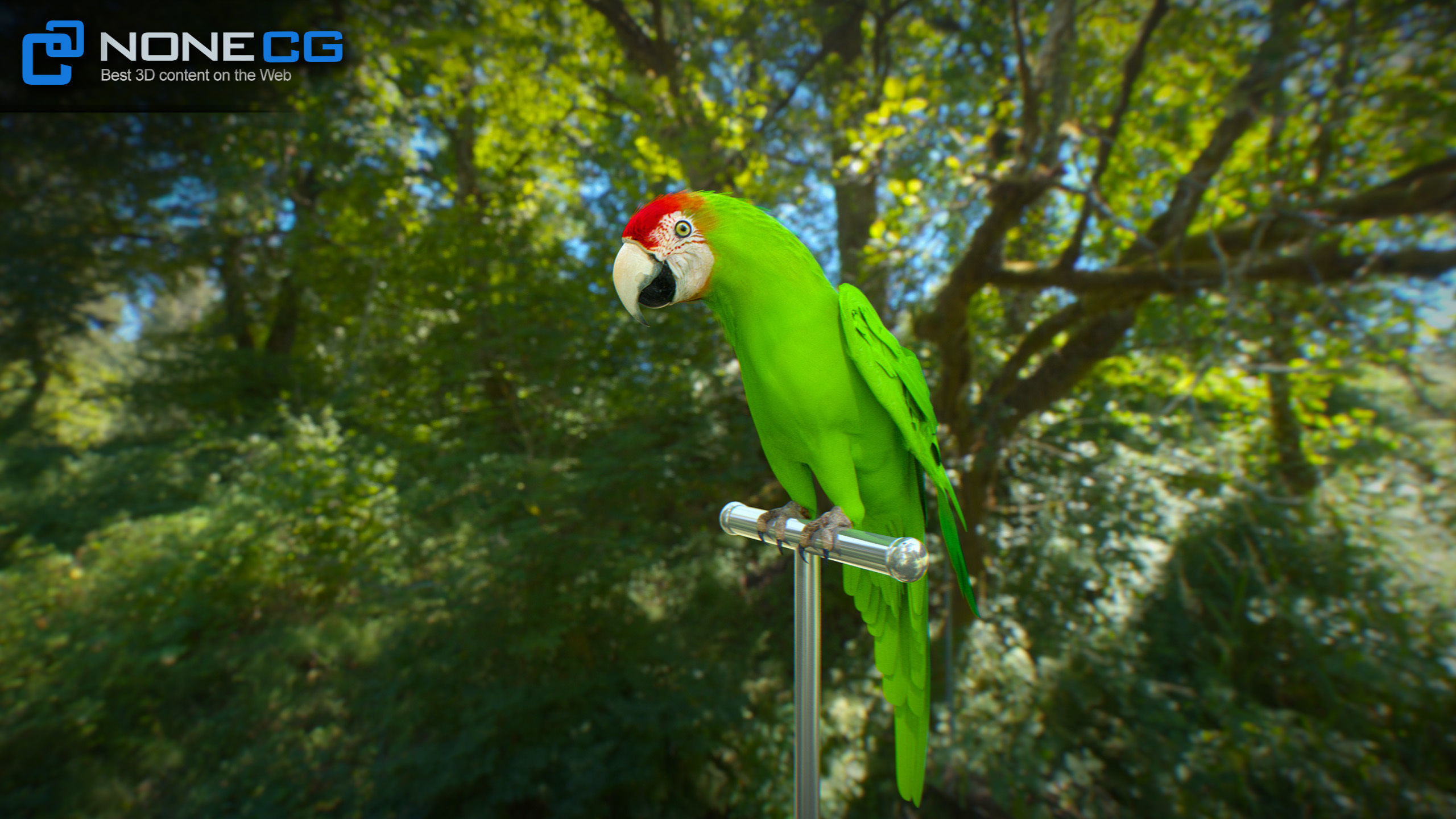 Animated Wild Parrot 3D model_15