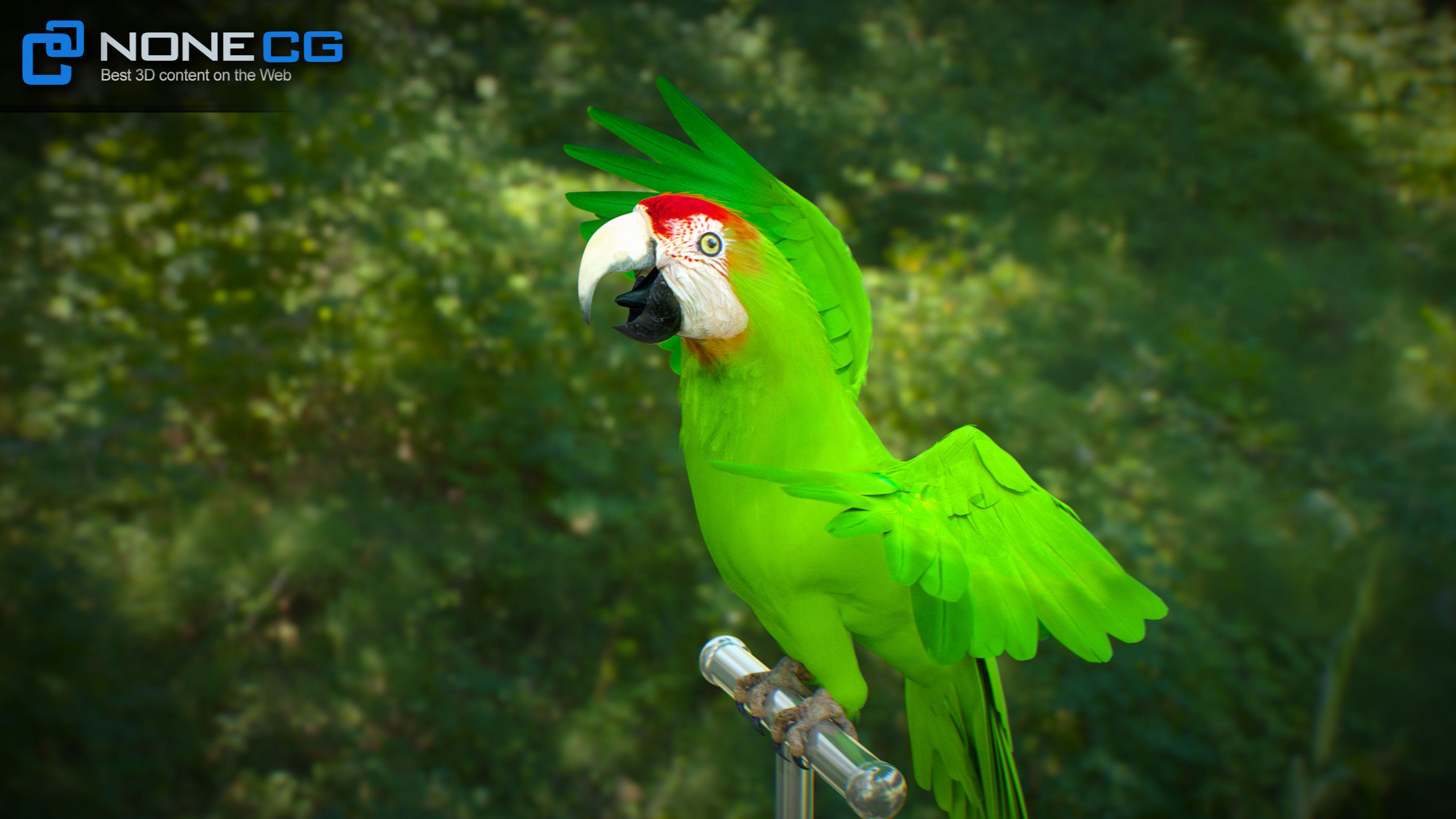 Animated Wild Parrot 3D model_17