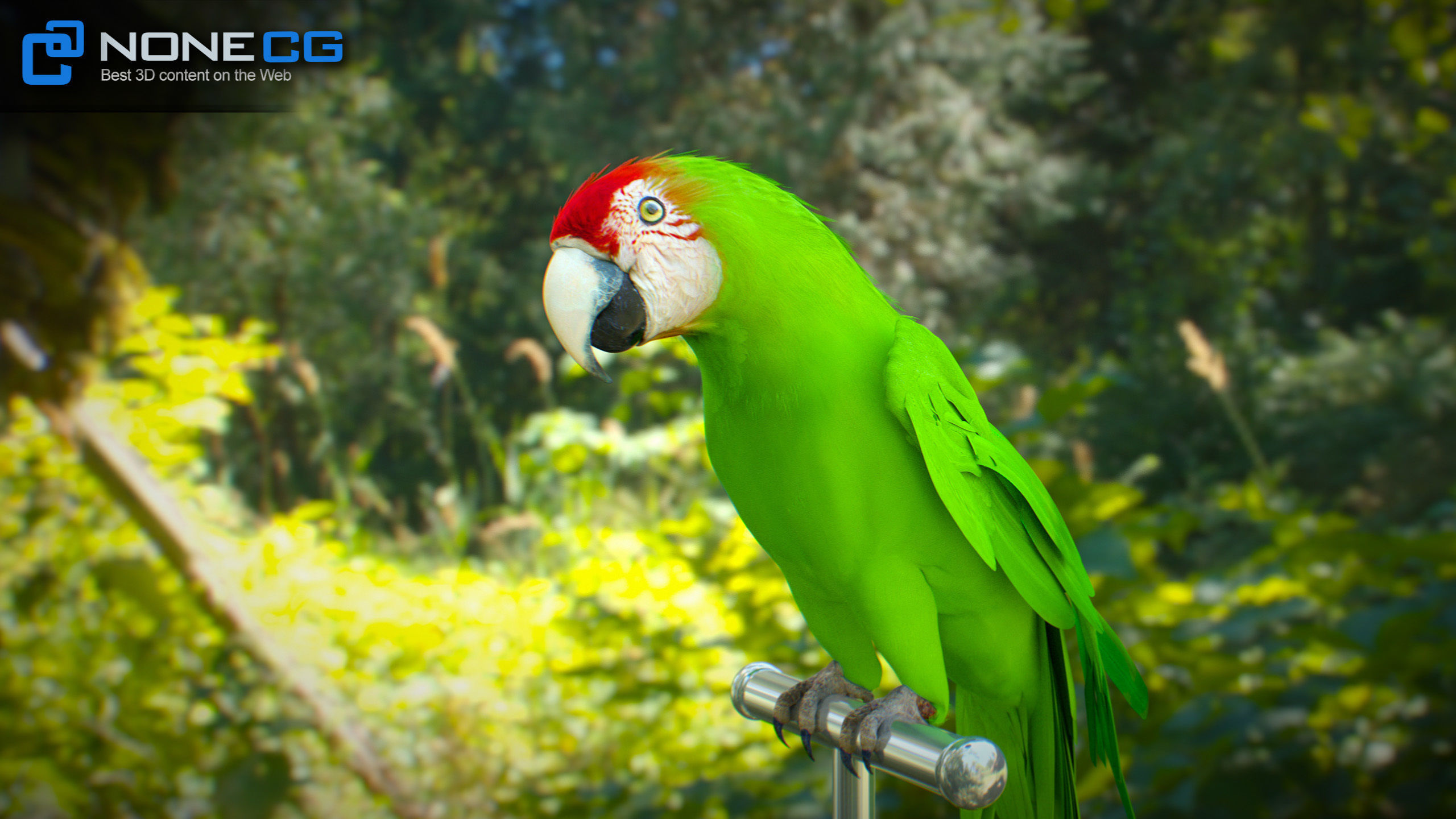 Animated Wild Parrot 3D model_22