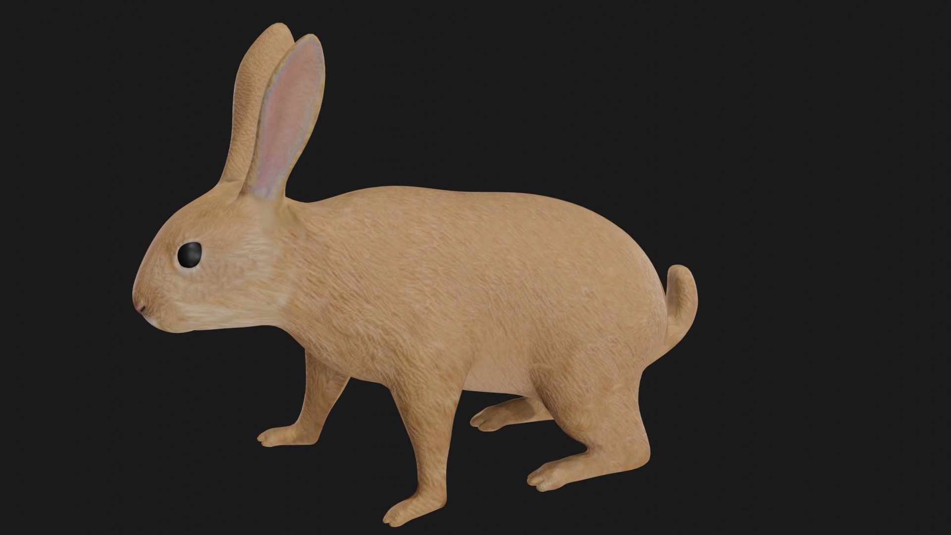 Rabbit hare low poly rigged Low-poly 3D model_2