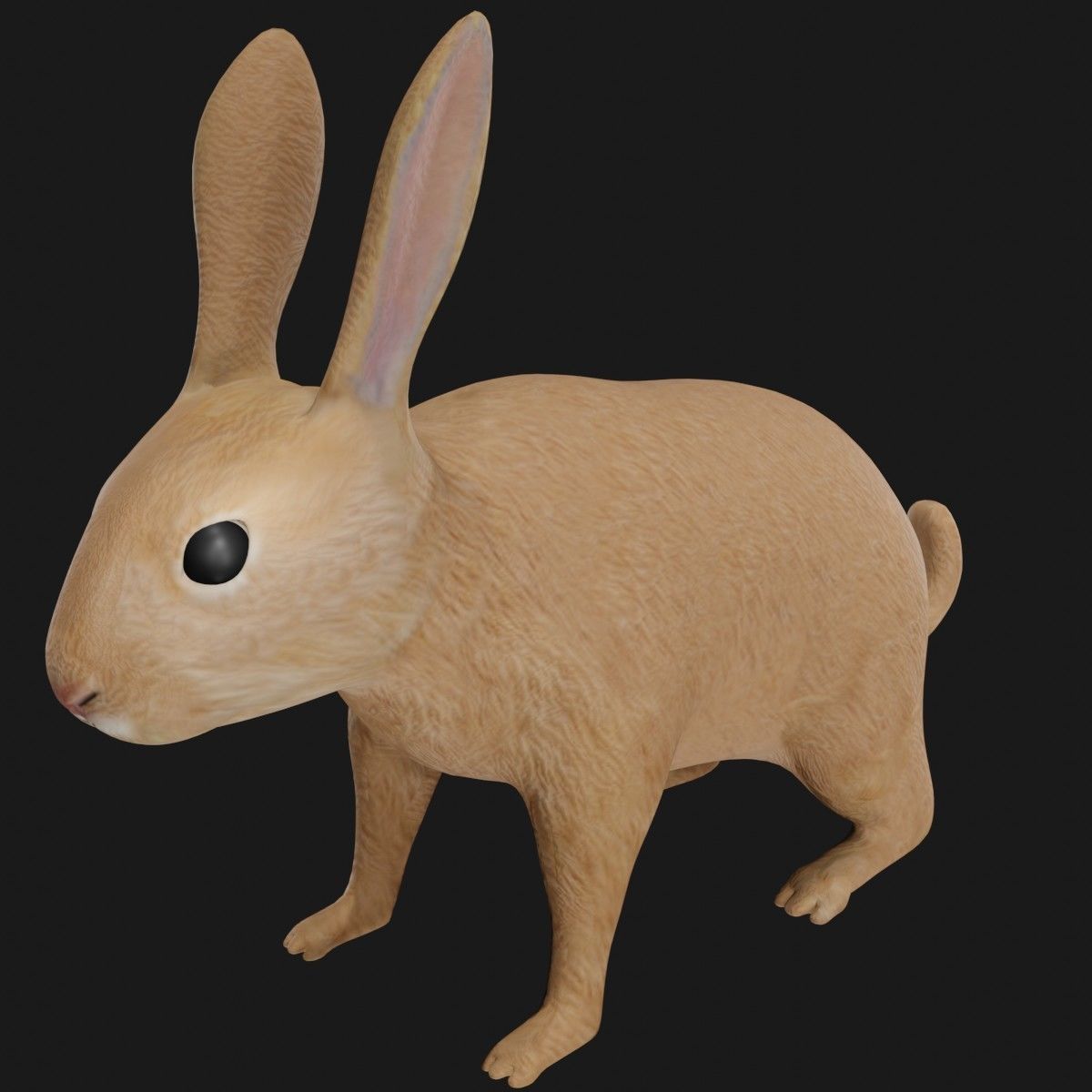 Rabbit hare low poly rigged Low-poly 3D model_5