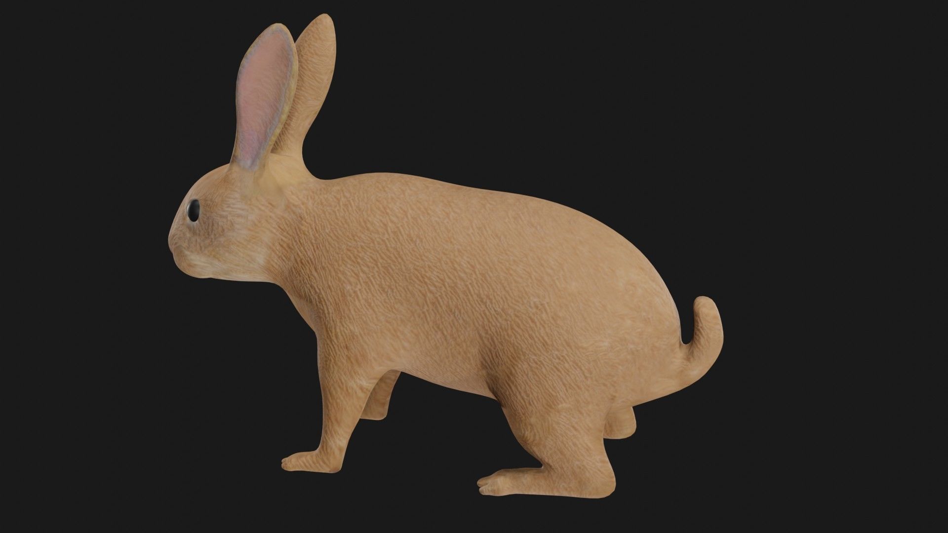 Rabbit hare low poly rigged Low-poly 3D model_4