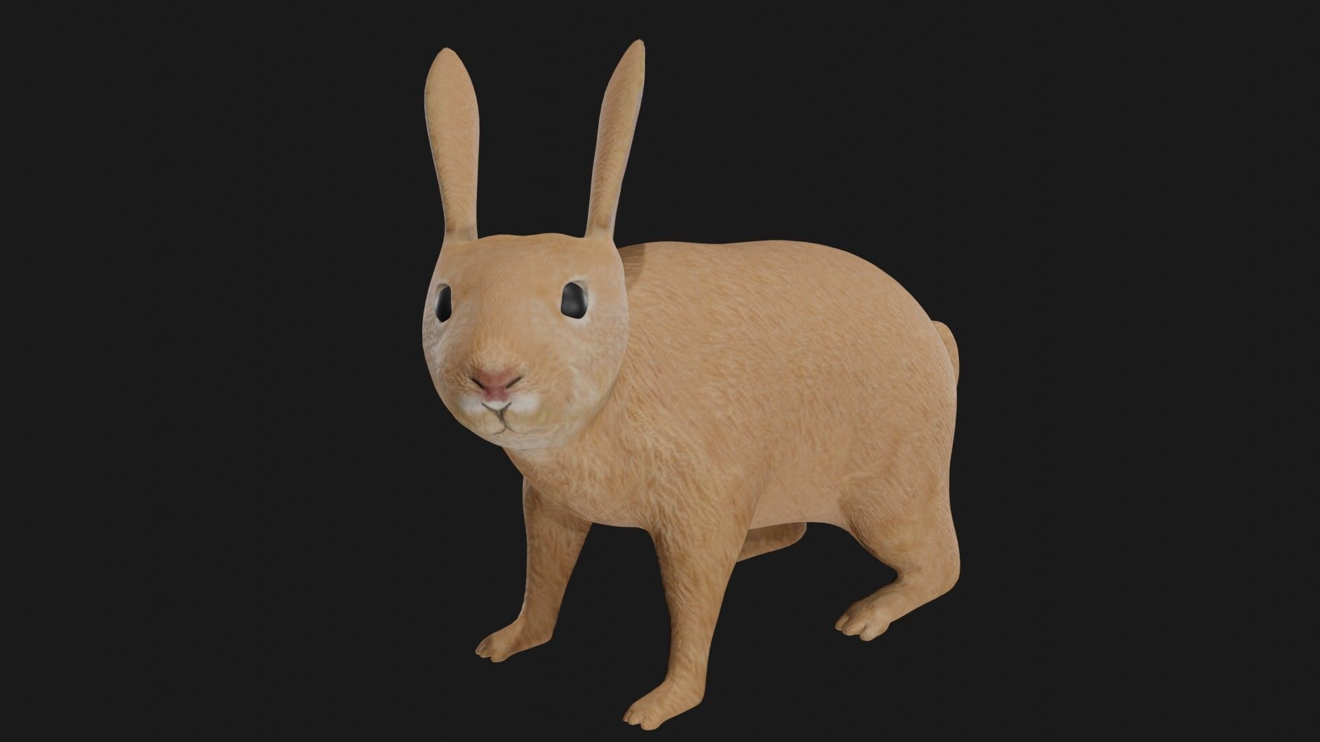 Rabbit hare low poly rigged Low-poly 3D model_1
