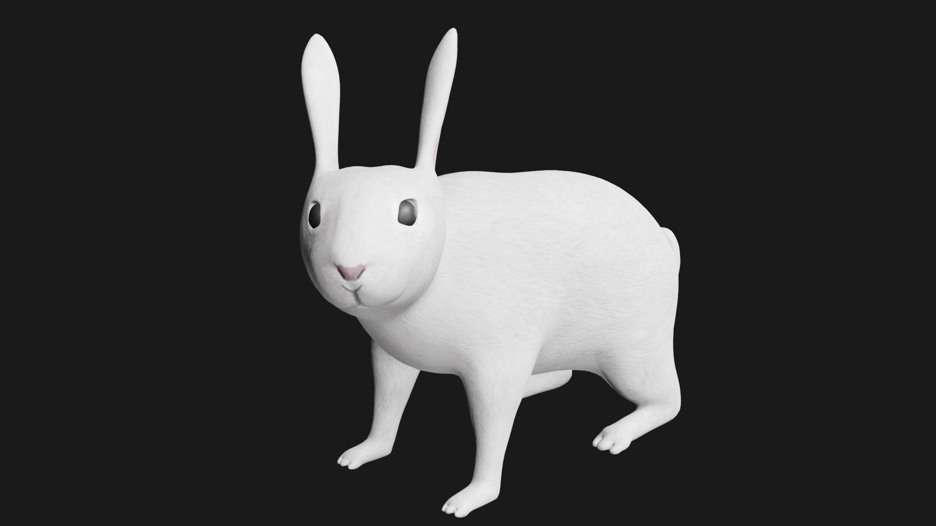 white rabbit low poly rigged Low-poly 3D model_1