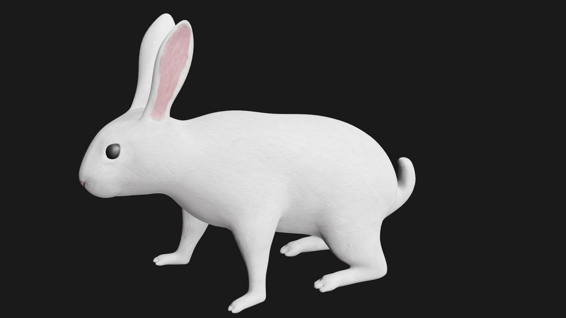 white rabbit low poly rigged Low-poly 3D model_2