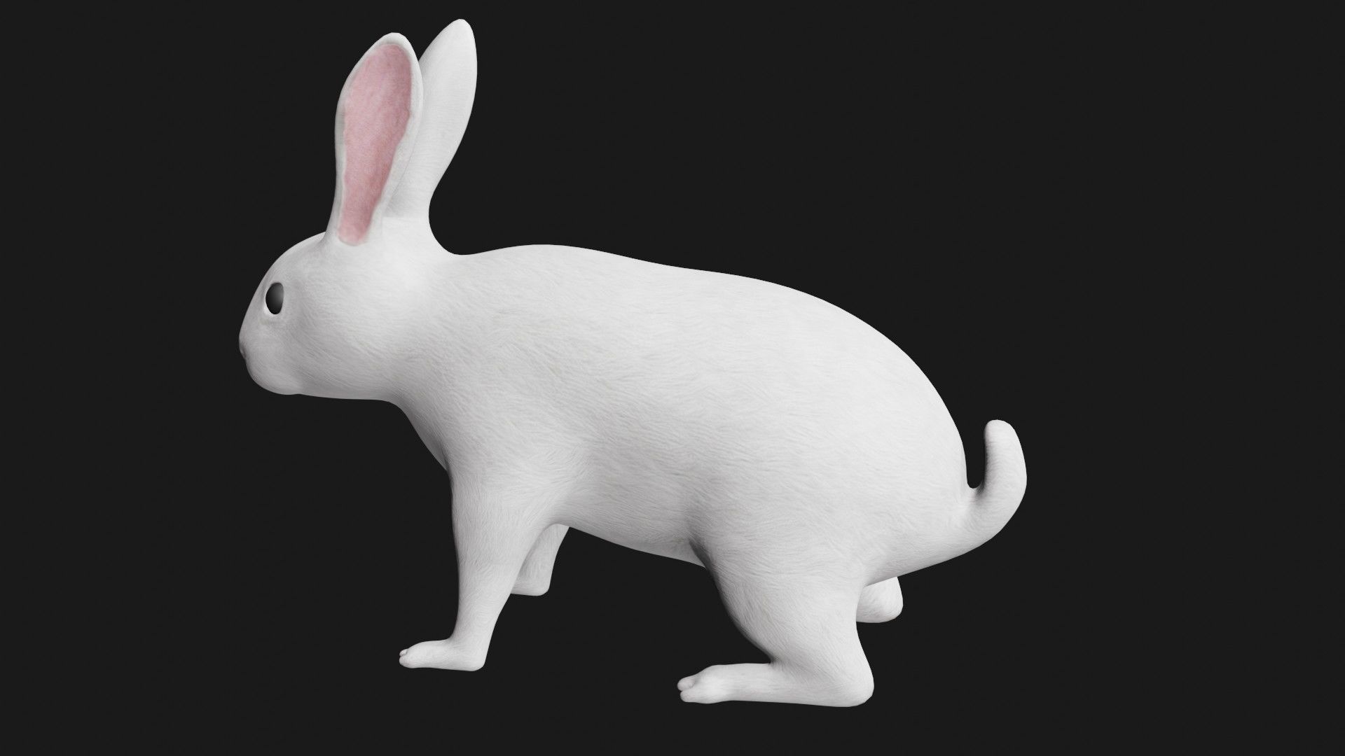 white rabbit low poly rigged Low-poly 3D model_4