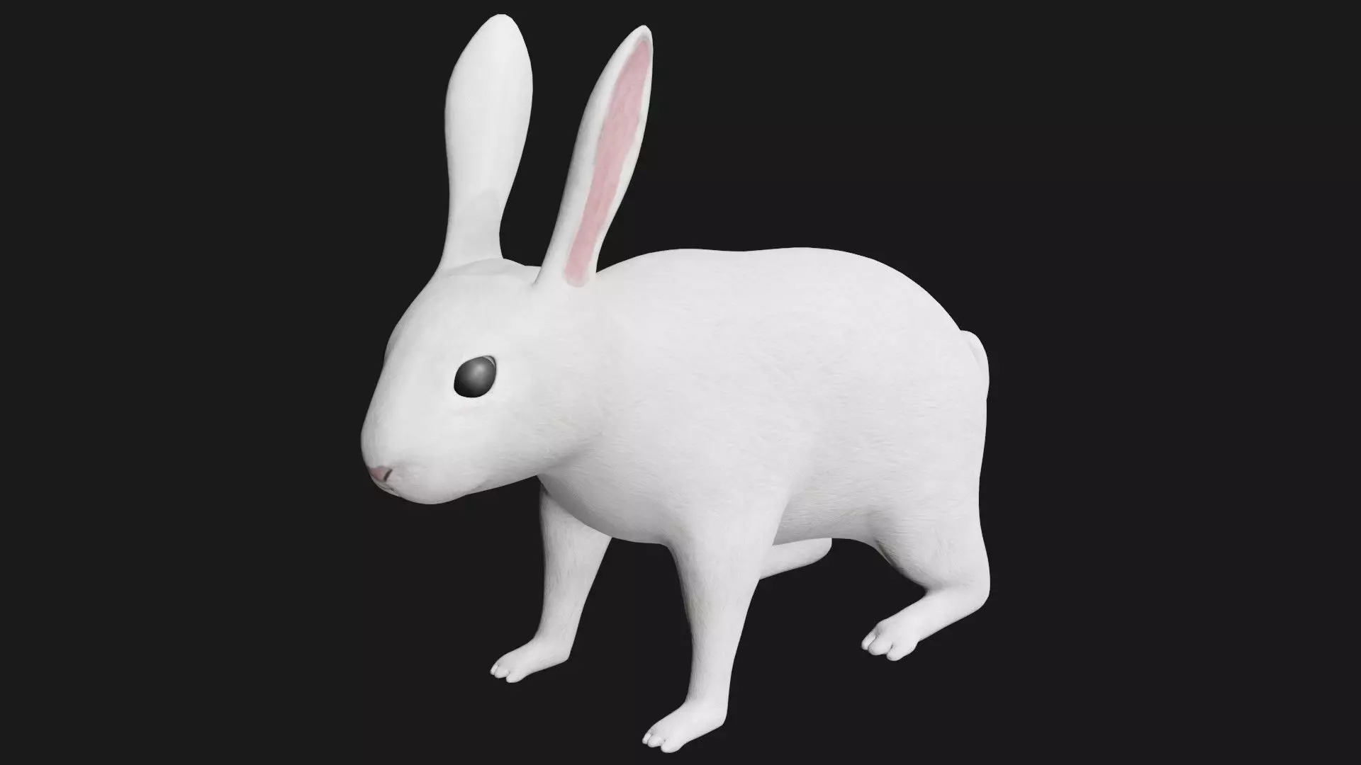 white rabbit low poly rigged Low-poly 3D model_0