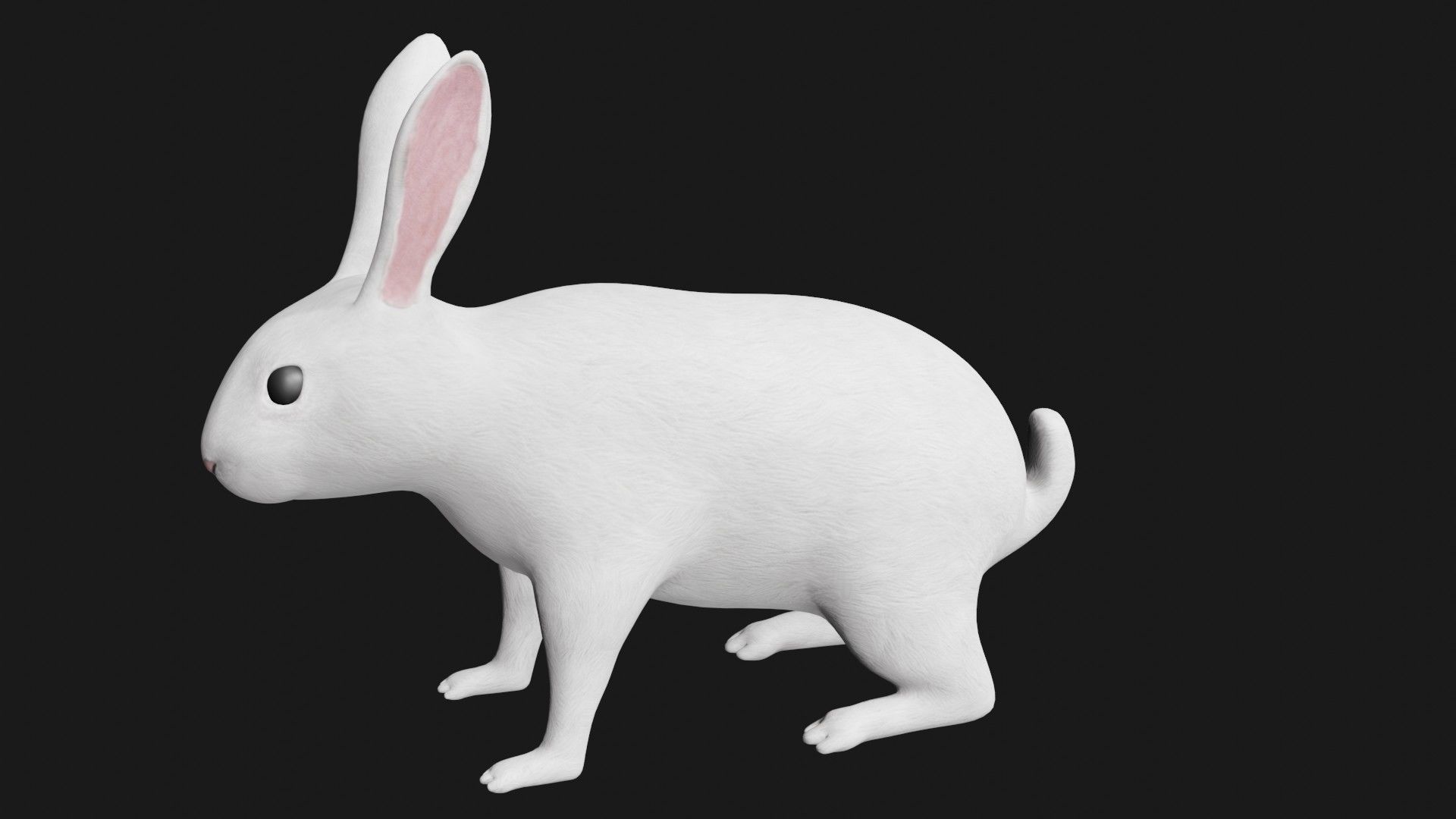 white rabbit low poly rigged Low-poly 3D model_3