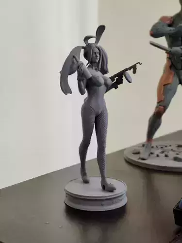 Bunny Quinn 3D print model