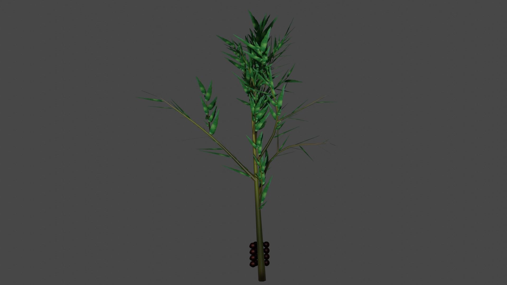 Pohon Salak 3D model_4
