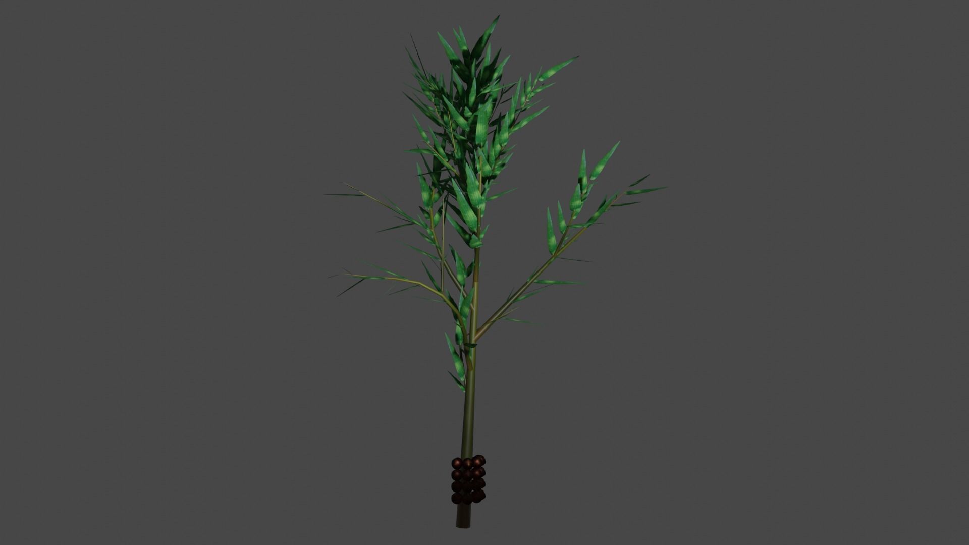 Pohon Salak 3D model_1