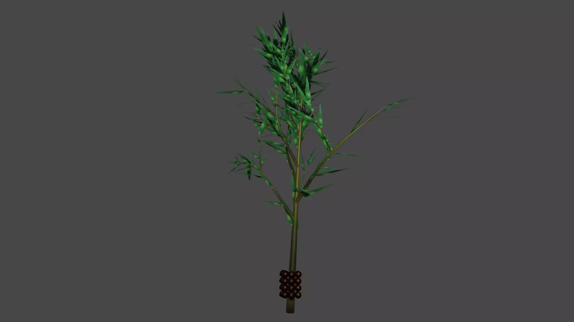Pohon Salak 3D model_0