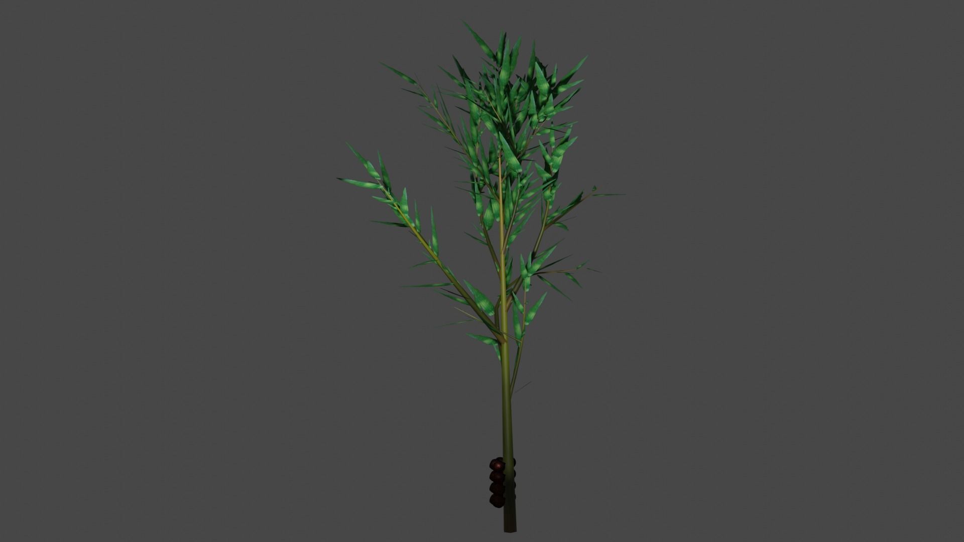 Pohon Salak 3D model_5
