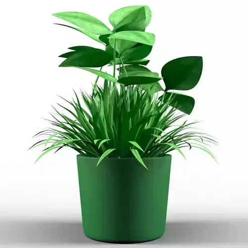 Decorative Pot Clover