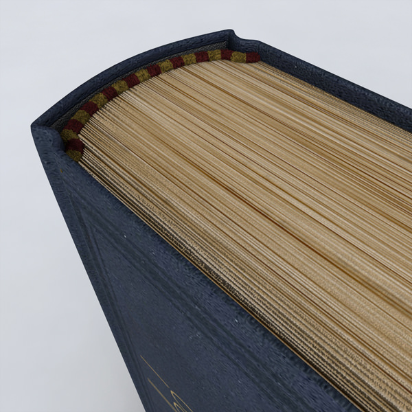 Book customizable 3D model_8