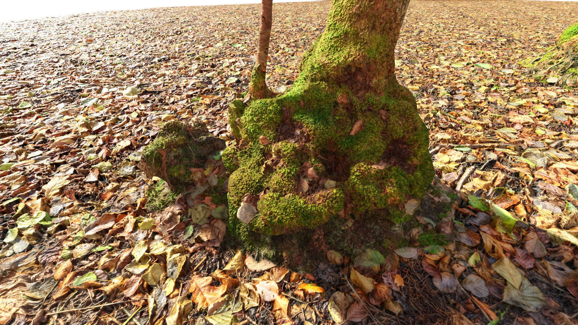 Mossy Tree trunks- Processed Scans PBR 4K Low-poly 3D model_10