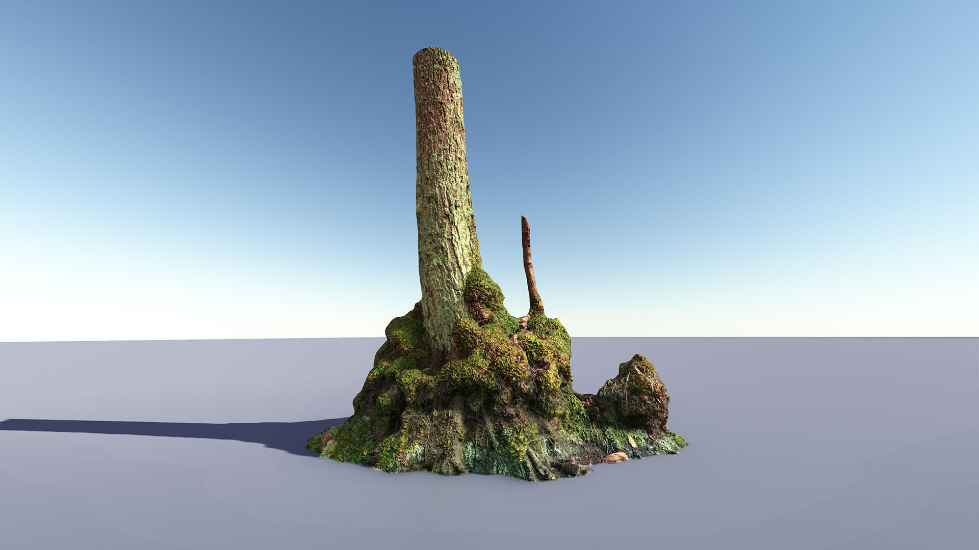 Mossy Tree trunks- Processed Scans PBR 4K Low-poly 3D model_3