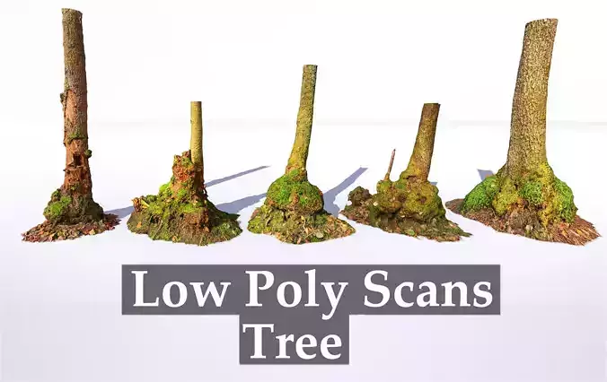 Mossy Tree trunks- Processed Scans PBR 4K