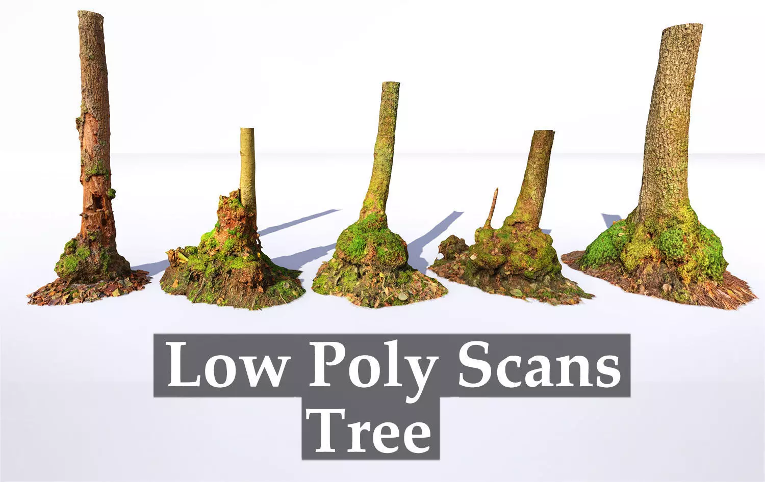 Mossy Tree trunks- Processed Scans PBR 4K Low-poly 3D model_0
