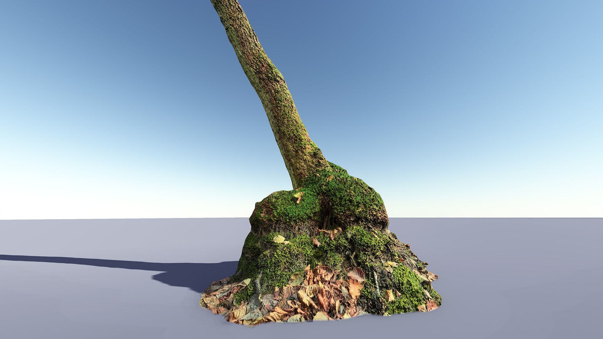 Mossy Tree trunks- Processed Scans PBR 4K Low-poly 3D model_2