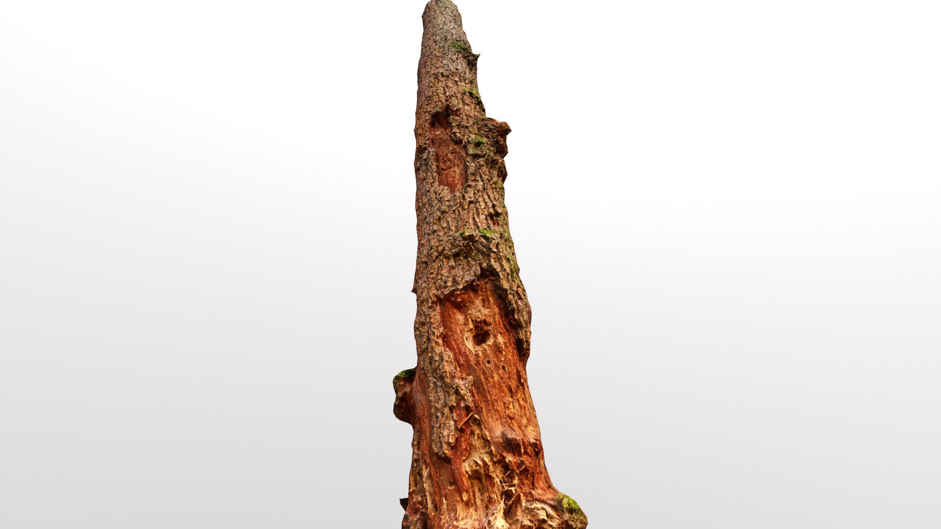 Mossy Tree trunks- Processed Scans PBR 4K Low-poly 3D model_8
