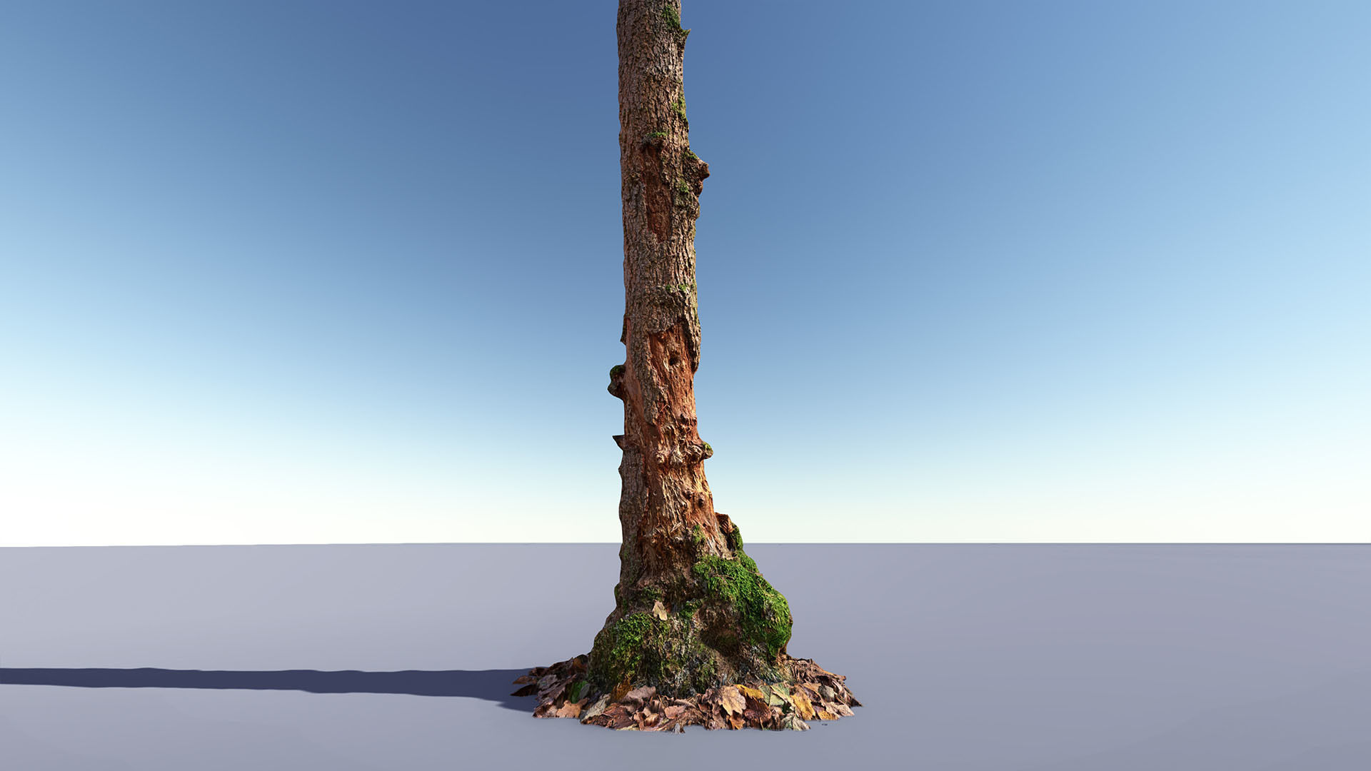 Mossy Tree trunks- Processed Scans PBR 4K Low-poly 3D model_4