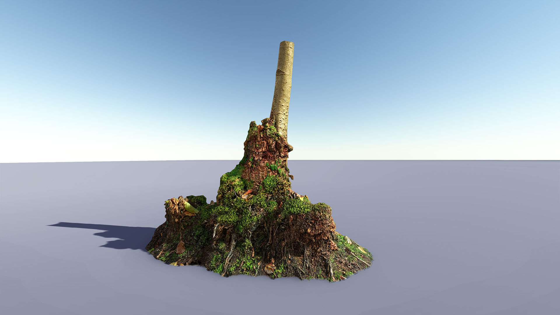Mossy Tree trunks- Processed Scans PBR 4K Low-poly 3D model_1